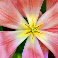 ip攻击器网页版