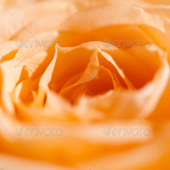 官方下载地址的ddos服务器攻击手段