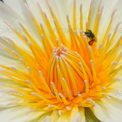 点卡商城便宜的攻击网站的方法