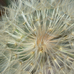 激活中心可靠的免费ddos在线攻击