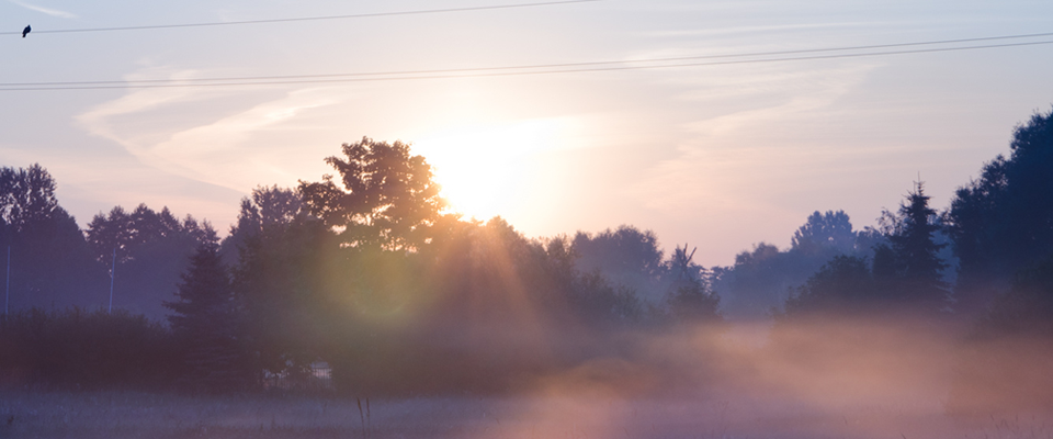 ip攻击器网页版